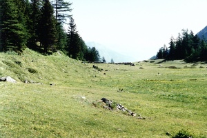 Smalp 018