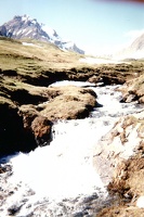 Smalp 041