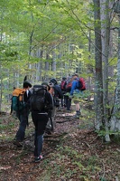 IMG 4872