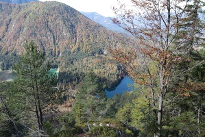 IMG 4875