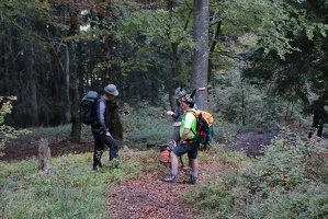IMG 4877