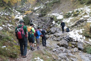 IMG 4887