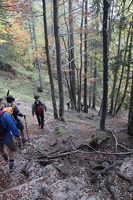IMG 4909