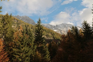 IMG 4946