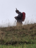 IMG-20250928-WA0118
